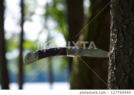 A sharp pocket knife is stuck in a tree, demonstrating its sharpness and purpose in nature. 127784940
