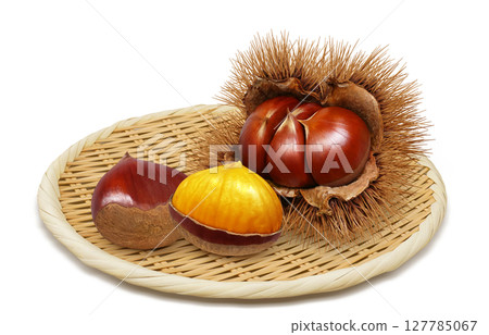 栗子插畫逼真的栗子毛刺 栗子插畫逼真的栗子毛刺 127785067