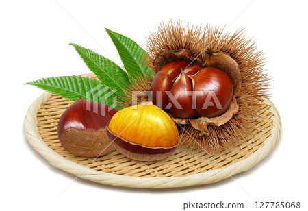 栗子插畫逼真的栗子毛刺 127785068