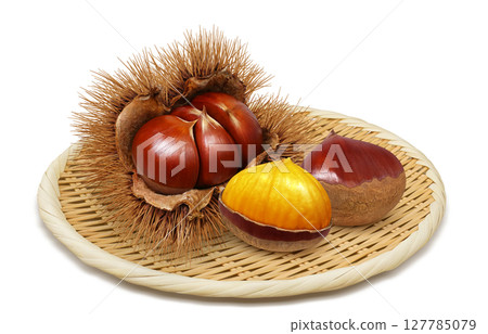 栗子插畫逼真的栗子毛刺 127785079