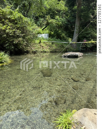 溪水清澈,上游涼爽 溪水清澈,上游涼爽 127785161