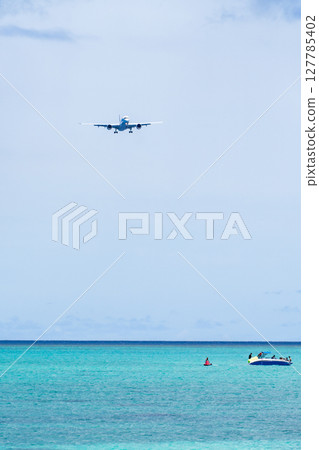 17 一架大型客機降落在 End Beach 127785402