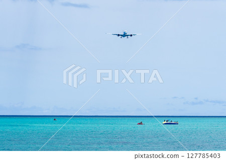 17 一架大型客機降落在 End Beach 17 一架大型客機降落在 End Beach 127785403