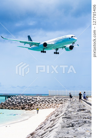 17 一架大型客機降落在 End Beach 127785406