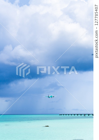 17 一架大型客機降落在 End Beach 17 一架大型客機降落在 End Beach 127785407