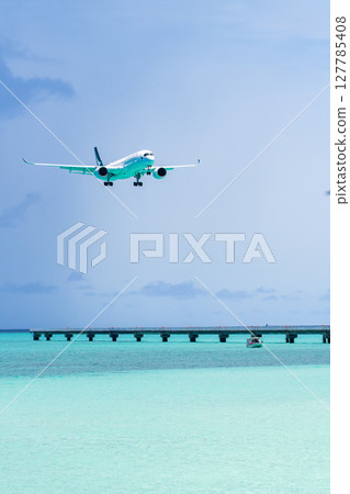 17 一架大型客機降落在 End Beach 127785408