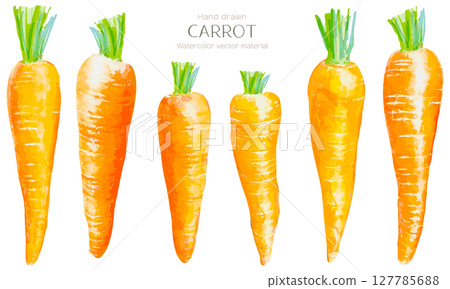 A set of watercolor carrots 127785688