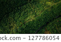 Aerial view of artist trail in Ubud, Bali. Campuhan ridge walk. 127786054