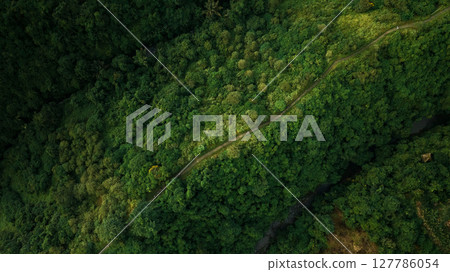 Aerial view of artist trail in Ubud, Bali. Campuhan ridge walk. 127786054