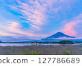 （山梨縣）黎明時分，河口湖大石公園薰衣草田上空的富士山（紅富士） 127786689