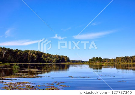 Serene Riverbank Scene with Lush Greenery 127787340