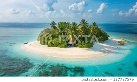 Aerial view of a tropical island with lush palms, white sandy beaches, and crystal-clear turquoise waters. 127787579