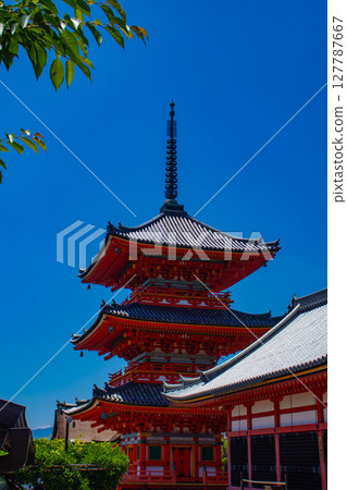 [京都風景] 遠處清水寺和京都市的美景 127787667