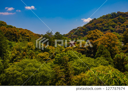 [京都風景] 遠處清水寺和京都市的美景 127787674