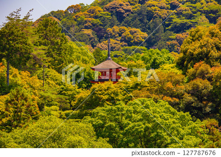 [京都風景] 遠處清水寺和京都市的美景 127787676