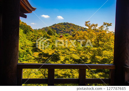 [京都風景] 遠處清水寺和京都市的美景 127787685