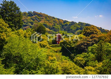 [Kyoto scenery] A beautiful distant view of Kiyomizu-dera Temple and Kyoto city 127787692