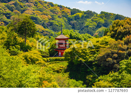 [京都風景] 遠處清水寺和京都市的美景 127787693