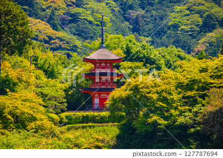 [Kyoto scenery] A beautiful distant view of Kiyomizu-dera Temple and Kyoto city 127787694