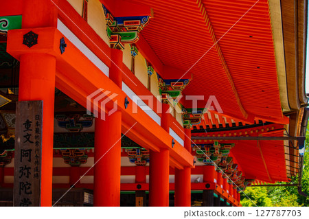 [京都風景] 遠處清水寺和京都市的美景 127787703