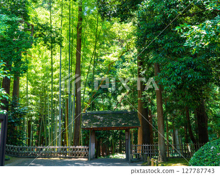 The main gate of Kairakuen, a picturesque garden surrounded by greenery in Mito City, Ibaraki Prefecture 127787743