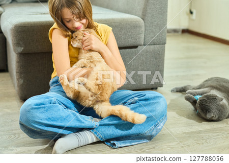 Teen girl cuddles Scottish Fold cat at home while another cat relaxes nearby in a cozy living room setting Teen girl cuddles Scottish Fold cat at home while another cat relaxes nearby in a cozy living room setting 127788056