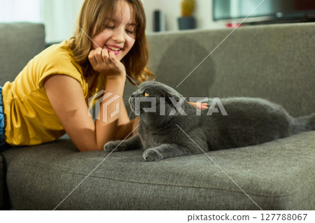 Teen girl interacts with a playful Scottish Fold cat at home on a cozy couch during the afternoon 127788067