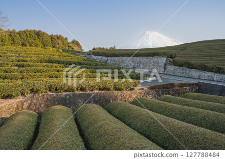 Scenery of Obuchisaba in Fuji City (Shizuoka Prefecture) Scenery of Obuchisaba in Fuji City (Shizuoka Prefecture) 127788484