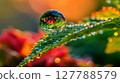 A macro close-up captures a dewdrop on a leaf, reflecting the surrounding garden in exquisite detail. 127788579