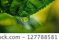 Macro close-up of a dewdrop on a leaf, reflecting an inverted, vibrant garden; nature's intricate beauty. 127788581