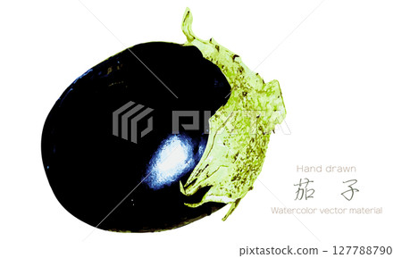 圓形茄子的水彩插圖 127788790
