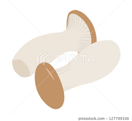 King oyster mushroom icon King oyster mushroom icon 127789108