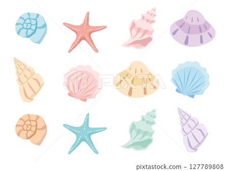 各種貝殼的插圖 127789808