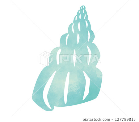 貝殼的水彩插圖 127789813