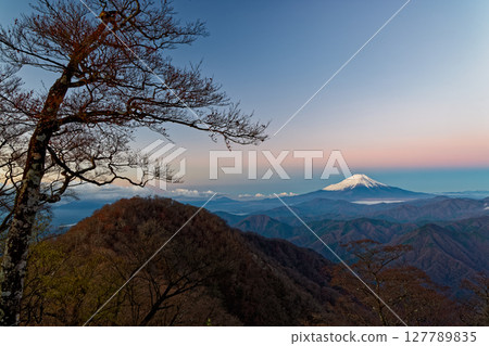 Fuji of dawn seen from Tanzawa · Hinoko-maru 127789835