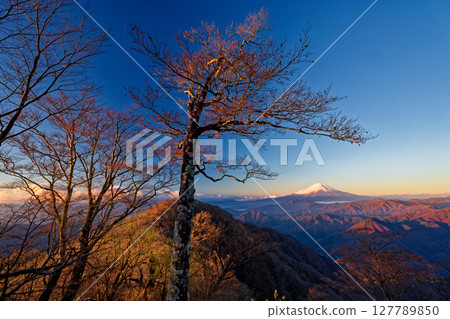 Fuji of the morning glow seen from Tanzawa · Hinoko-maru Fuji of the morning glow seen from Tanzawa · Hinoko-maru 127789850