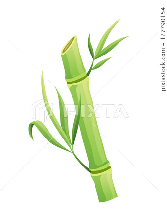 Bamboo green stalk, icon. Stem with leaf isolated on white background. Eco design of stick bamboo with foliage or leaves, vector illustration 127790154