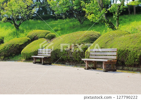 夏日烈日下的公園長椅 127790222