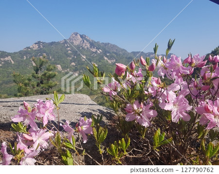 green mountain slope with mountain 127790762