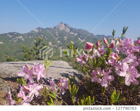 green mountain slope with mountain green mountain slope with mountain 127790763