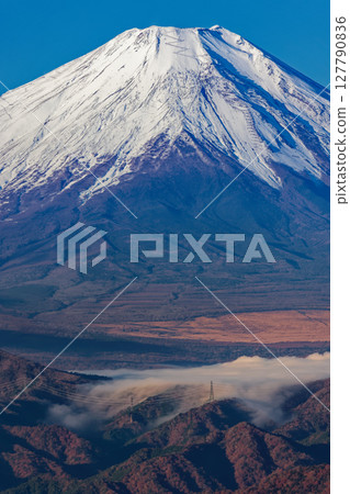 Mt. Fuji seen from Hinokiboramaru in Tanzawa and the clouds falling from Lake Yamanaka 127790836