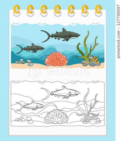 Coloring book Underwater Seabed Ocean Sea habitat Coloring book Underwater Seabed Ocean Sea habitat 127790897