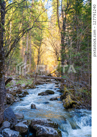 Tretya Rechka river or The third river flowing near Artybash town. Pristine freshwater river landscape in Altai region Russia 127791240