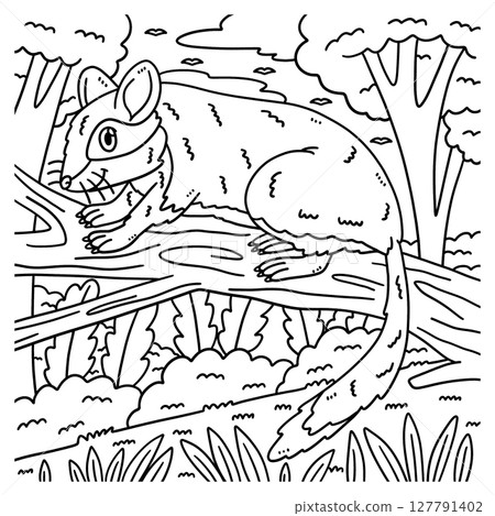 Forest Animal Garden Dormouse Coloring Page  127791402