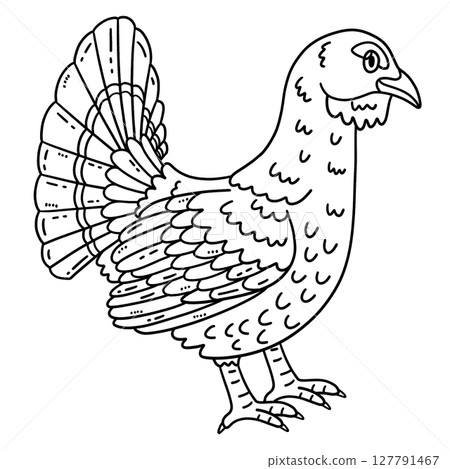 Forest Animal Capercaillie Isolated Coloring Page  127791467