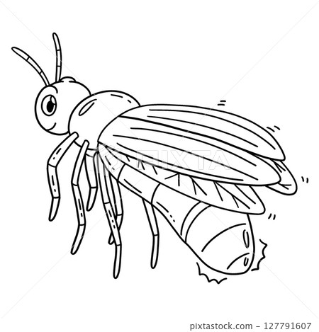 Forest Animal Firefly Isolated Coloring Page Forest Animal Firefly Isolated Coloring Page 127791607