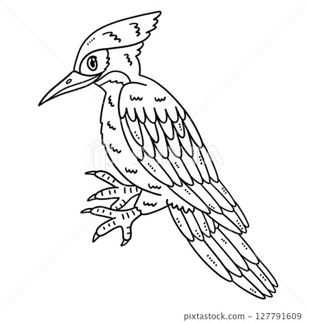 Forest Animal Woodpecker Isolated Coloring Page Forest Animal Woodpecker Isolated Coloring Page 127791609