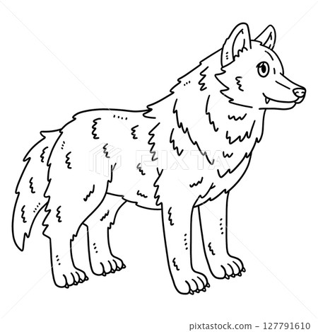 Forest Animal Wolf Isolated Coloring Page for Kids 127791610