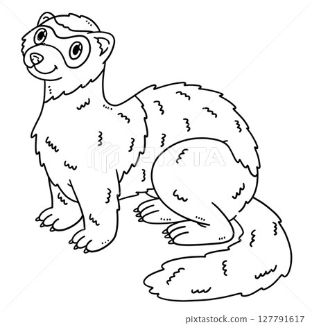Forest Animal Polecat Isolated Coloring Page  127791617