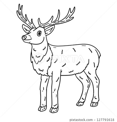Forest Animal Red Deer Isolated Coloring Page Forest Animal Red Deer Isolated Coloring Page 127791618